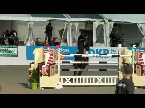 Marcus Ehning - A La Carte NRW - CSI4* 1m55 (21/05/2022)