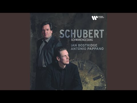 Schwanengesang, D. 957: No. 13, Der Doppelgänger