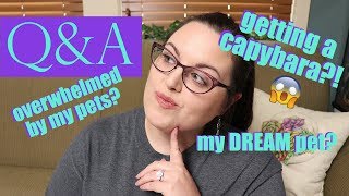Answering Your Questions | Get To Know Me!