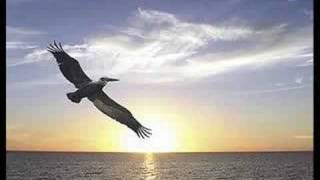 Mariana Ava &amp; David Quinlan