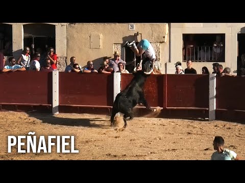 Penafiel 2024 Desenjaule y Capea