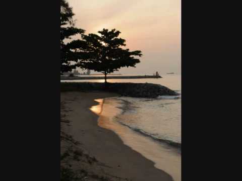 J Marvin - Las Dalias