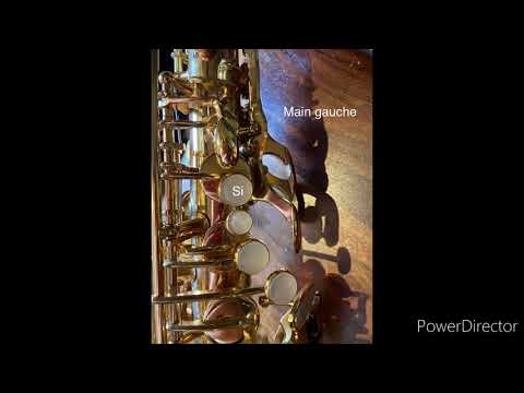 Les premières notes à apprendre au saxophone leçon 1