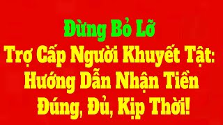 How Much Disability Benefits Do You Get, What Day, and How Not to Lose Money?