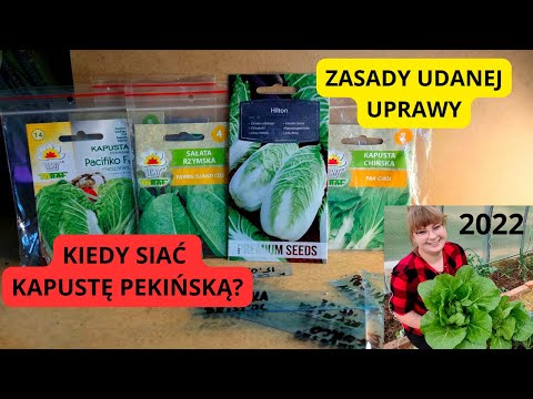 , title : 'Uprawa kapusty pekińskiej JAK SIAĆ KAPUSTĘ PEKIŃSKĄ Kiedy siać kapustę Co siać w lutym Uprawa warzyw'