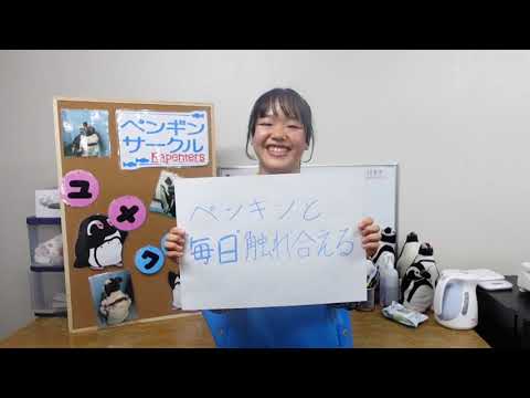 国際学科 神戸動植物環境専門学校
