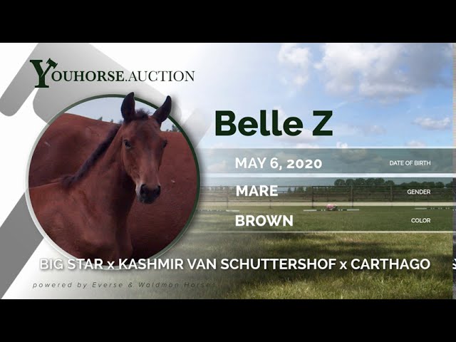 Belle Z