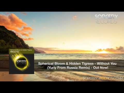 Spherical Bloom & Hidden Tigress - Without You (Yuriy From Russia Remix)