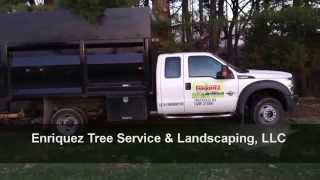 preview picture of video 'Lawn Care Freehold NJ | (732) 333-6478'