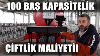 100 Baş Kapasiteli Süt Çiftliği Maliyeti! Davut Karaman Tek Tek Anlatt