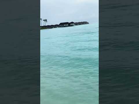 #trending Beach View #travelvlog