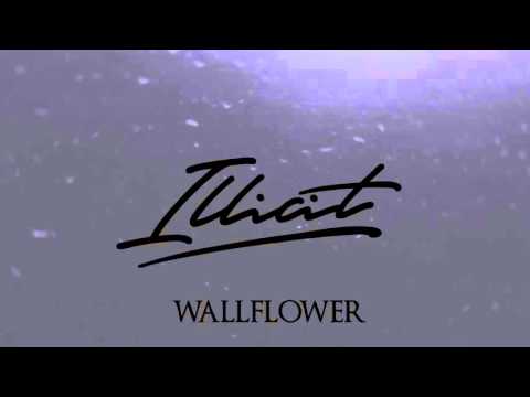 Illicit - Wallflower.