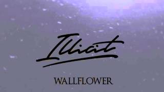 Illicit - Wallflower.