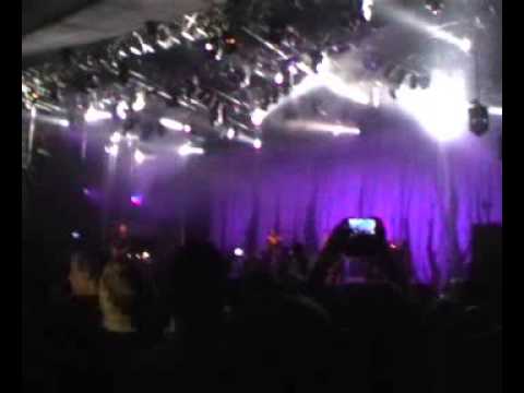 Die Ärzte-Schrei nach Liebe-Wiesen 28.8.2013