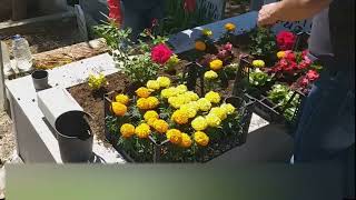 Mezar Bakımı Toprak Değişimi Bakımı Nasıl Yapılır