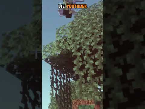 MIRA SINGT ÜBER YOUTUBER INSEL?