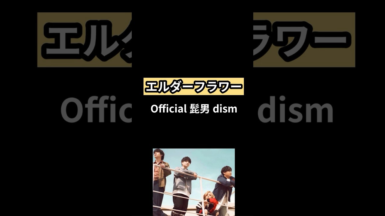 【新曲】髭男「エルダーフラワー」Covered by Double Bodies #エルダーフラワー #髭男 #人はなぜラブレターを書くのか #official髭男dism #shorts