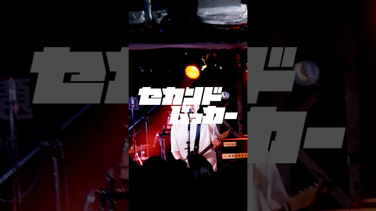 喧嘩するほど #セカンドバッカー #喧嘩するほど #バンド #ライブ #shorts