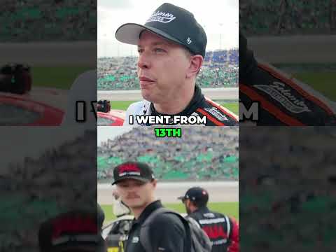Danimal video artwork