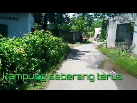 Kampung seberang terus