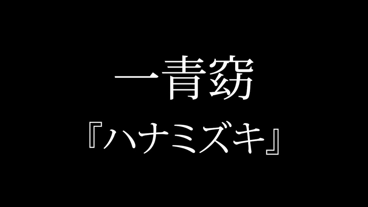 ハナミズキ 1