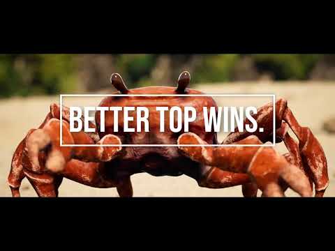 Better Top Wins