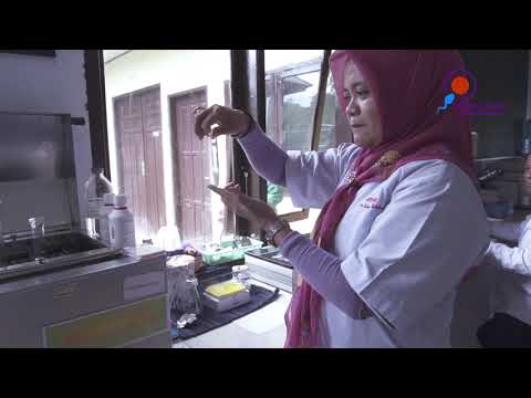 download lagu mp3 mp4 Pibps, download lagu Pibps gratis, unduh video klip Pibps