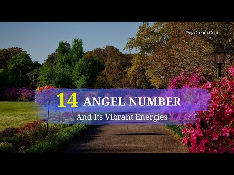 14 Angel Number And Its Vibrant Energies