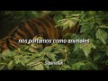 Aterciopelados - Hijos de Tigre // Letra