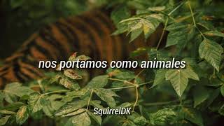 Aterciopelados - Hijos de Tigre // Letra