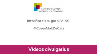 Identifica el teu gat a l'AIAC! #CosesMoltDeGats