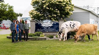 Ferme M.B. Marronniers d'Honfleur