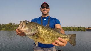 GIANT BASS & SNAKEHEAD FISHING!!! (Best of BOTH Worlds!)