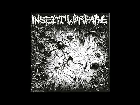 Insect Warfare  &  Carcass Grinder  (Split 7" Full EP)