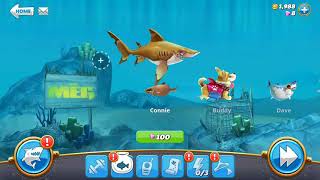 Hungry Shark World The Game Video 11