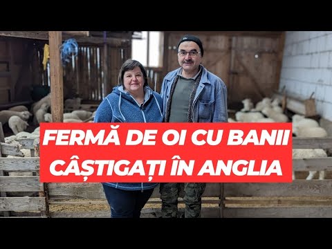 The Merlușca couple built their farm with the money they earned in England