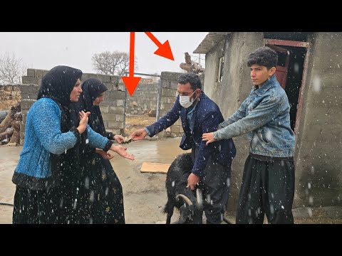 Hakimeh's Bold Proposal: A Stranger, Sakineh's Sheep, and Farhad's Timely Intervention