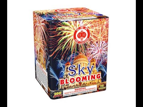 Jeff's Fireworks - Sky Blooming - RL2007