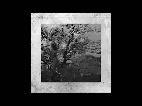 Indefinite Pitch PREMIERES. Rainsoft - Fog [GSXS]