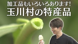 【食感最高】深爪の澤夏が空芯菜を収穫！