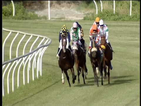 Galoppo 07/06/2019 - 5ª corsa