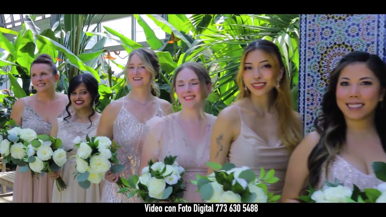 Boda - Chicago
