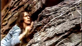 Todd Rundgren ~ Fair Warning (music video)