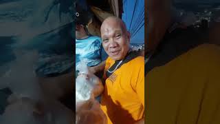 LAMIA SA SINUGBANG ISDA OYY