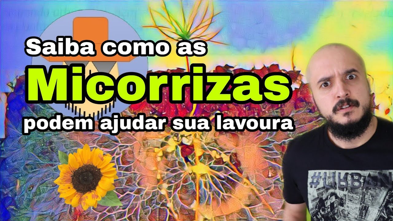 Micorrizas - o que são e por que são importantes para as plantas? Como cuidar delas?