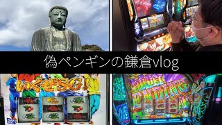 偽ペンギンはじめてのvlog