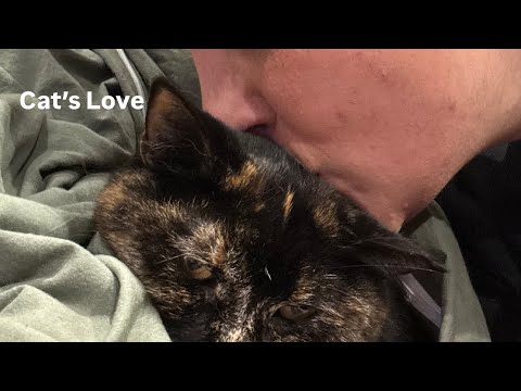 “ cat lovers Bed time ritual “