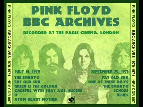 Pink Floyd The Embryo live