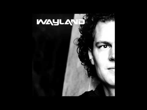 Lunde Bros & Robin Thicke -  Can you feel the Blurred lines (Wayland Mash up)