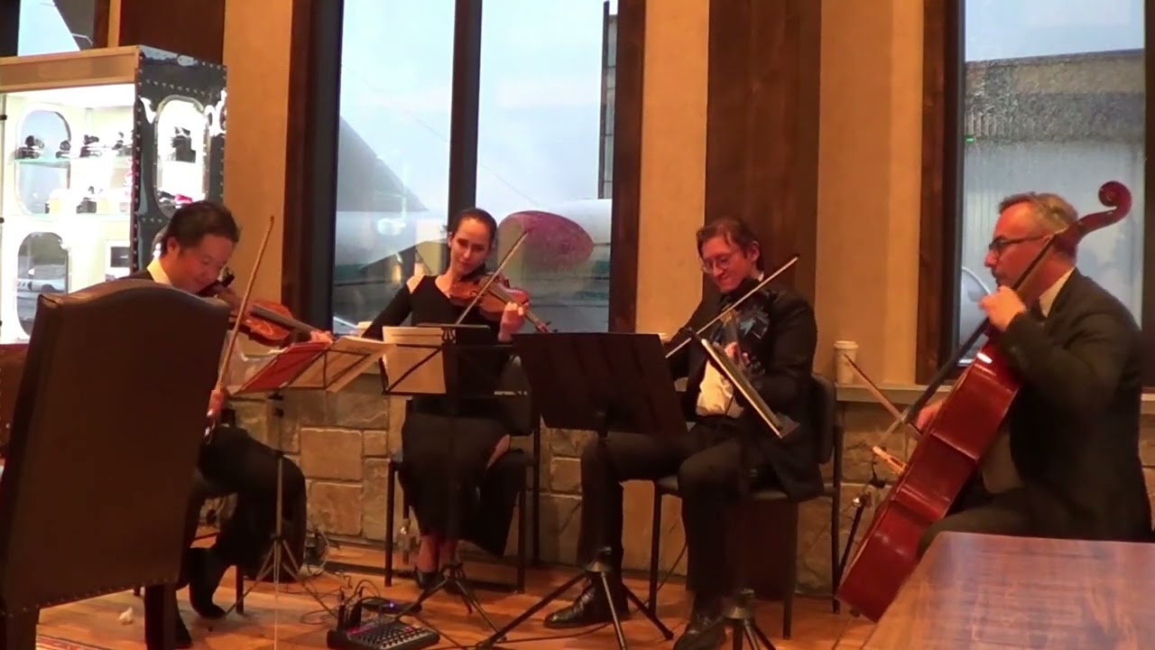 Promotional video thumbnail 32 for Xinou Wei Strings